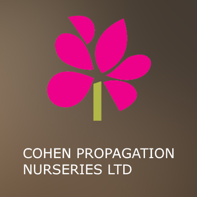 Cohen Propagation Nurseries